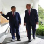 America laughs as Trump pivots from 'Kung Flu' to hug Xi’s panda diplomacy