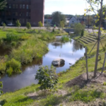 For half a century, Massachusetts' Mill Brook ran beneath a downtown parking lot; Athol has now uncovered it, created 12,000 sq ft of wetlands and turned 53,000 sq ft of pavement into vegetation