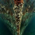 From 2012 to 2022, nearly 30,000 commercial vessel arrivals brought 430 sq km of submerged hull surface to Alaska; biofouling habitat grew 50%, increasing invasive-species risk