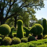 Nurseries discarded unwanted plants; Pearl Fryar rescued them and spent decades turning them into a three-acre sculpture garden