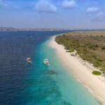 Bonaire fenced dry forest to keep goats out; 15 years later, only 22 of 60 native tree species had returned naturally |