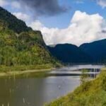 A huge forested island appeared in a British Columbia reservoir, vanished, then resurfaced 30 km away 15 days later with trees, birds and other animals still aboard