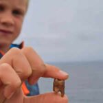 Meet Arthur, the 7-year-old British boy who found ancient human teeth while exploring a Cornish coastline | World News