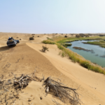 Taklamakan Desert Water Discovery: China spent years building a 'green wall' around the Taklamakan desert; now researchers discover hidden water resources in the layer of sand