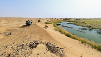 Taklamakan Desert Water Discovery: China spent years building a 'green wall' around the Taklamakan desert; now researchers discover hidden water resources in the layer of sand