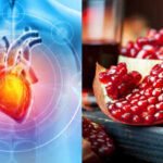 A compound produced after eating pomegranates, walnuts and berries improved heart function by up to 80% in animal tests; researchers say it helped stiff heart tissue relax and reduced scarring