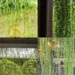 How To Create A Living Curtain: DIY: Create a beautiful “living curtain” with hanging plants to add privacy, freshness and natural charm to your home |