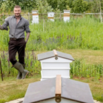 David Beckham started keeping bees during lockdown and now produces his own honey; expert explains how managed hives can affect wild pollinators |