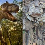 In 2016, a Montana researcher picked up a rock half the size of a golf ball; 10 years later, scans showed dinosaur dung holding the finest feather yet found from the age of dinosaurs