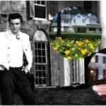 In 1957, Elvis Presley bought this Memphis mansion for $102,500; Graceland became his final home, where he lived until his death in 1977 |