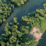 Engineers dredged 500,000 cubic yards of sand from the Mississippi River and used it to build seven islands; six years later, the $25 million McGregor Lake project has restored 270 acres of aquatic habitat and protected 22 acres of wetlands
