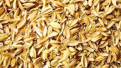 Engineers mixed rice-husk ash into asphalt; the farm waste could make roads more resistant to high-temperature damage |