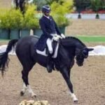 Horse declared ‘unfit’ by EFI gets all-clear from Asian Games organisers | Asian Games 2026 News