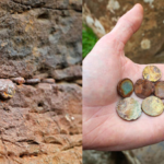For years, visitors placed coins in the cracks of Giant's Causeway for good luck; now more than 20 kilos are being removed to protect the World Heritage Site from crumbling