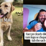 'Flying Beast' Gaurav Taneja’s pet Mau reportedly dies: What happened in his final days? Social media questions raise concern