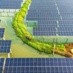 Google, Bill Gates's fund invests $31.8M in California startup aiming to build solar farm using robots and much less land