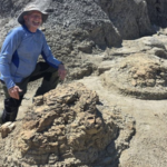 High school teacher searching for fossils discovers four footprints later confirmed as the first reported T. rex trackway dating back 66.5 million years |
