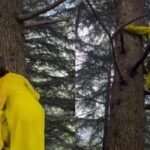 Content creator Pooja Guleria’s tree-climbing video catches attention online; internet praises her effortless agility