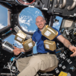 In 1984, NASA sent 12.5 million tomato seeds to space; in 1990 they had to be brought back to Earth and were planted across 40,000 schools in 40 countries
