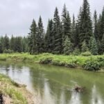 In 2003, Sean and Melodye Rooney bought Montana land beside the Stillwater River; 23 years later, their 57-acre property with nearly a mile of river frontage became permanently protected from development