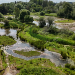 In 2017, a 64-acre golf course built for workers at England’s Rugeley Power Station closed; nine years later, work is turning it into wetlands, meadows and ponds with a 1.5km public trail