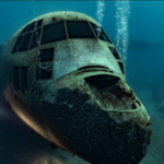 In 2017, Jordan sank a retired 30-metre C-130 Hercules off Aqaba to create an artificial reef; the aircraft now rests about 16 metres underwater and attracts coral, fish and other marine life