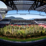 In 2019, artist Klaus Littmann filled an Austrian football stadium with 299 trees, turning it into a forest to show a future without forests