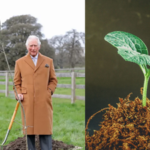 In 2021, Queen Elizabeth began a tree-planting initiative. By 2023, it became a nationwide memorial with three million trees | World News