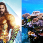 Jason Momoa raises alarm over coral reefs nearing extinction; scientists report world's most widespread bleaching event |