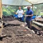 Kenyan researchers are turning human poop from informal settlements into fertiliser; 1,000 farmers could benefit from the unusual waste-to-food cycle |