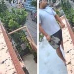 ‘He needed them more than me’: Man gives away new Adidas shoes to delivery partner, video goes viral