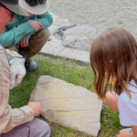 Meet Alyssa: The 7-year-old Calgary girl who stopped playing at a playground, examined a rock and discovered a 445-million-year-old sea-star fossil |
