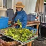 ​Meet Apollin Lu, the 17-year-old British Columbia student who mobilised 140+ volunteers to rescue nearly 9,000 pounds of farm produce