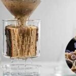 MIT scientists turned tree branches into water filters that remove more than 99% of bacteria and viruses |