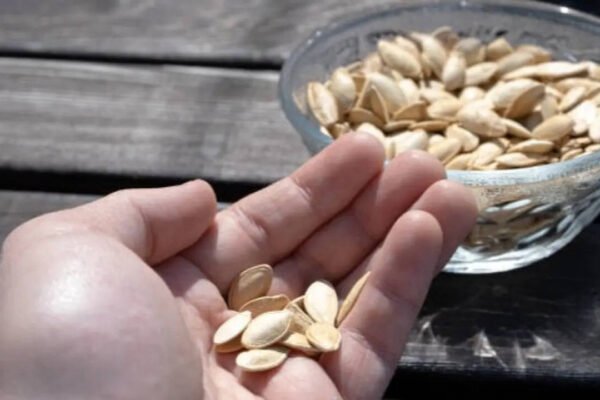 5 simple tips to get the most out of this nutrient-rich snack
