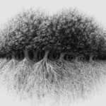What you see first reveals your true nature and hidden weakness