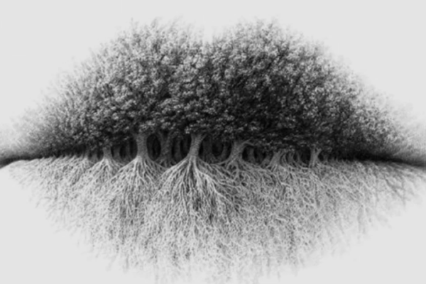 What you see first reveals your true nature and hidden weakness