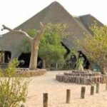 Namibia spent decades building community conservancies; in 2026, a new plan aims to secure more than 20 million hectares | World News