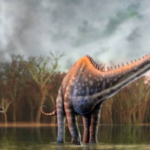 North America loses its monopoly on dinosaur fossils; fourteen tail vertebrae just turned up in Spain and experts have identified it as Diplodocus