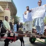 'Can't afford petrol': Pakistan PTI lawmakers ride donkey carts to assembly in protest