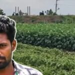 In 2017, this man got a bank job; 8 years later, he returned to his family in Andhra Pradesh after his father's death and started farming again; he now earns Rs 5,000 daily from vegetables |