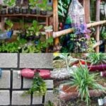 Recycle Plastic Bottles: DIY: 5 creative ways to recycle empty plastic bottles for your home garden