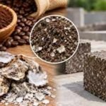 Scientists mixed waste coffee grounds with oyster shells to create a stronger construction material from two food wastes |
