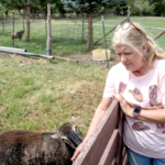 A Utah couple spent 14 years trying to stop their 25.5-acre farm from becoming another subdivision; the land is now permanently protected from development even as homes spread around it