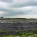 Singapore burns its garbage and dumps the ash into the sea; how a 350-hectare island became a wildlife haven