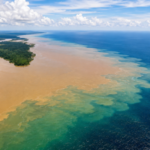 The Amazon River pours 28 billion gallons of freshwater into the Atlantic Ocean every minute, making seawater less salty more than 100 miles offshore |