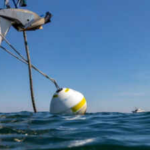At England's Studland Bay, replacing damaging boat anchors with eco-moorings cut scars in seagrass by 94%; researchers say the recovering meadow is also supporting a growing population of seahorses