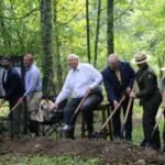 In 1906, five railroad bridges carried coal through West Virginia’s New River Gorge; 120 years later an $11.8 million project is rebuilding them for hikers