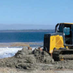 North Carolina reused dredged material that would have been discarded offshore to rebuild an eroding bird island near Wanchese; within a week, oystercatchers and terns were exploring the new habitat
