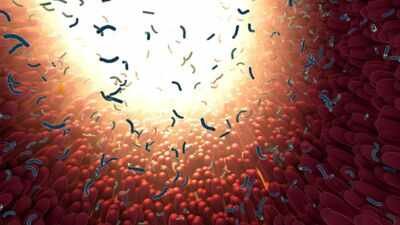Scientists found hidden populations within common gut bacteria that can spread internationally within decades and are associated with ageing, colorectal cancer, IBD and type 2 diabetes